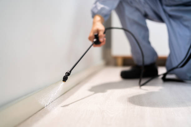 Licensed Fumigation Services service in Tenafly, NJ - Nex Pest Control