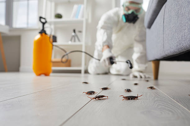 Trusted Fumigation Services service in Tenafly, NJ - Nex Pest Control