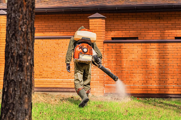 Trusted Ant Control service in Tenafly, NJ - Nex Pest Control